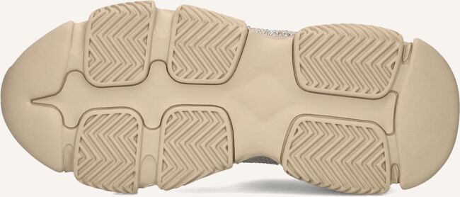 Beige STEVE MADDEN Lage sneakers PRIVY Beige STEVE MADDEN Lage sneakers PRIVY - large