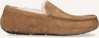 Cognac UGG Pantoffels ASCOT - medium