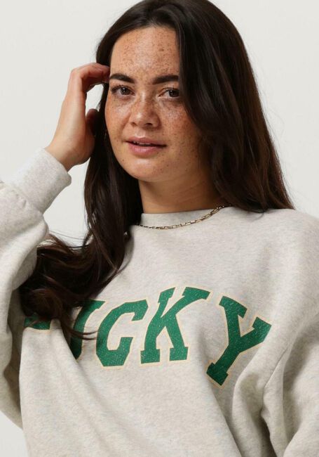 Lichtgrijze BY-BAR Trui BIBI LUCKY VINTAGE SWEATER - large