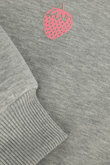 Grijze SOFIE SCHNOOR Sweater G231214 Grijze SOFIE SCHNOOR Sweater G231214 - large