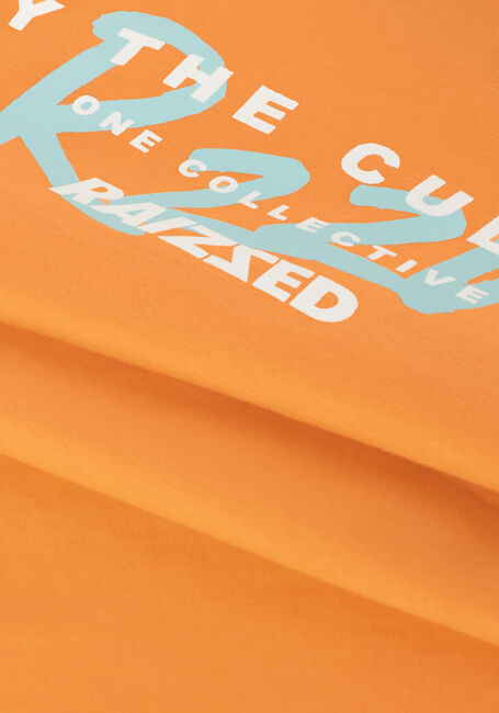 Oranje RAIZZED T-shirt SUNRAY - large