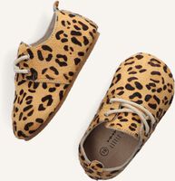 Cognac LITTLE INDIANS Sneakers OXFORD BOOTIES Cognac LITTLE INDIANS Sneakers OXFORD BOOTIES - medium