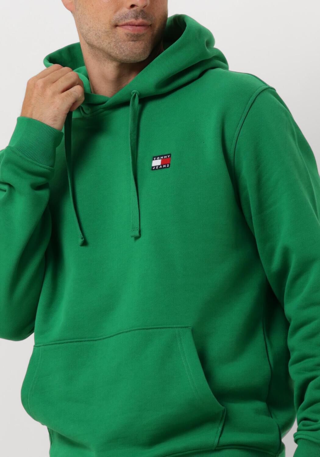 TOMMY JEANS Heren Truien & Vesten Tjm Reg Badge Hoodie Groen