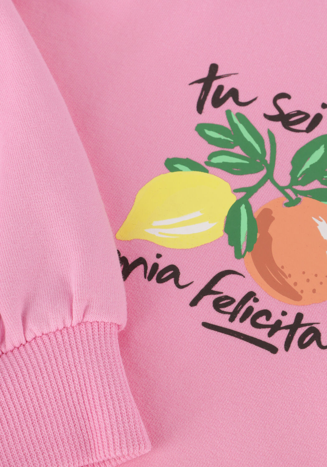 Z8 Meisjes Truien & Vesten Milena Roze
