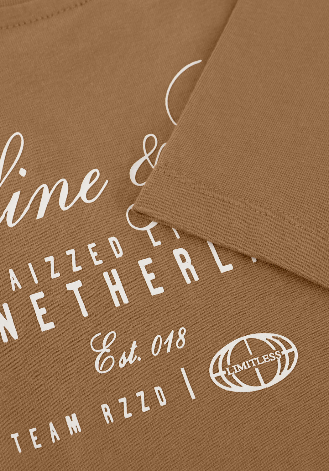 Camel RAIZZED T-shirt HARL - large