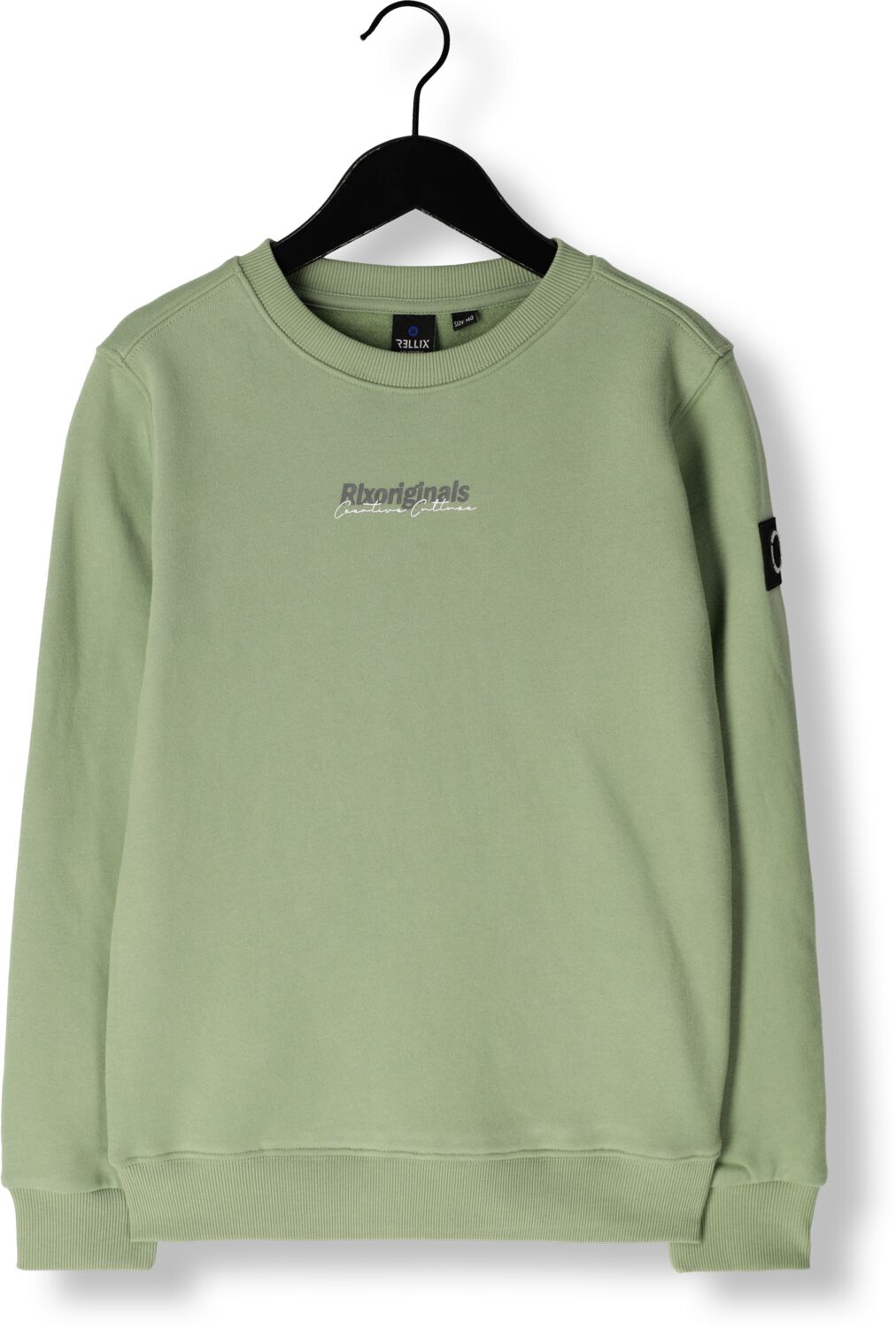 RELLIX Jongens Truien & Vesten Sweater Rlx Creative Brushed Groen