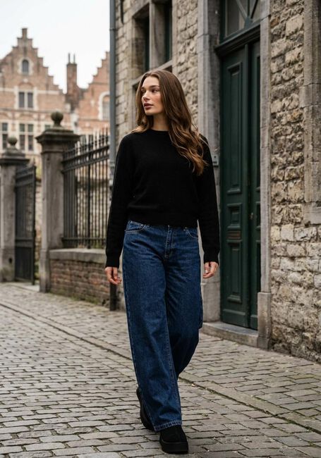 Zwarte MSCH COPENHAGEN Trui MSCHFESTINA HOPE PULLOVER - large