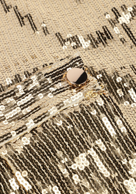 Gouden NOTRE-V Broeken NV-ENGELINA Gouden NOTRE-V Broeken NV-ENGELINA - large