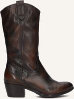 OMODA DALLAS ST OMODA DALLAS ST - medium