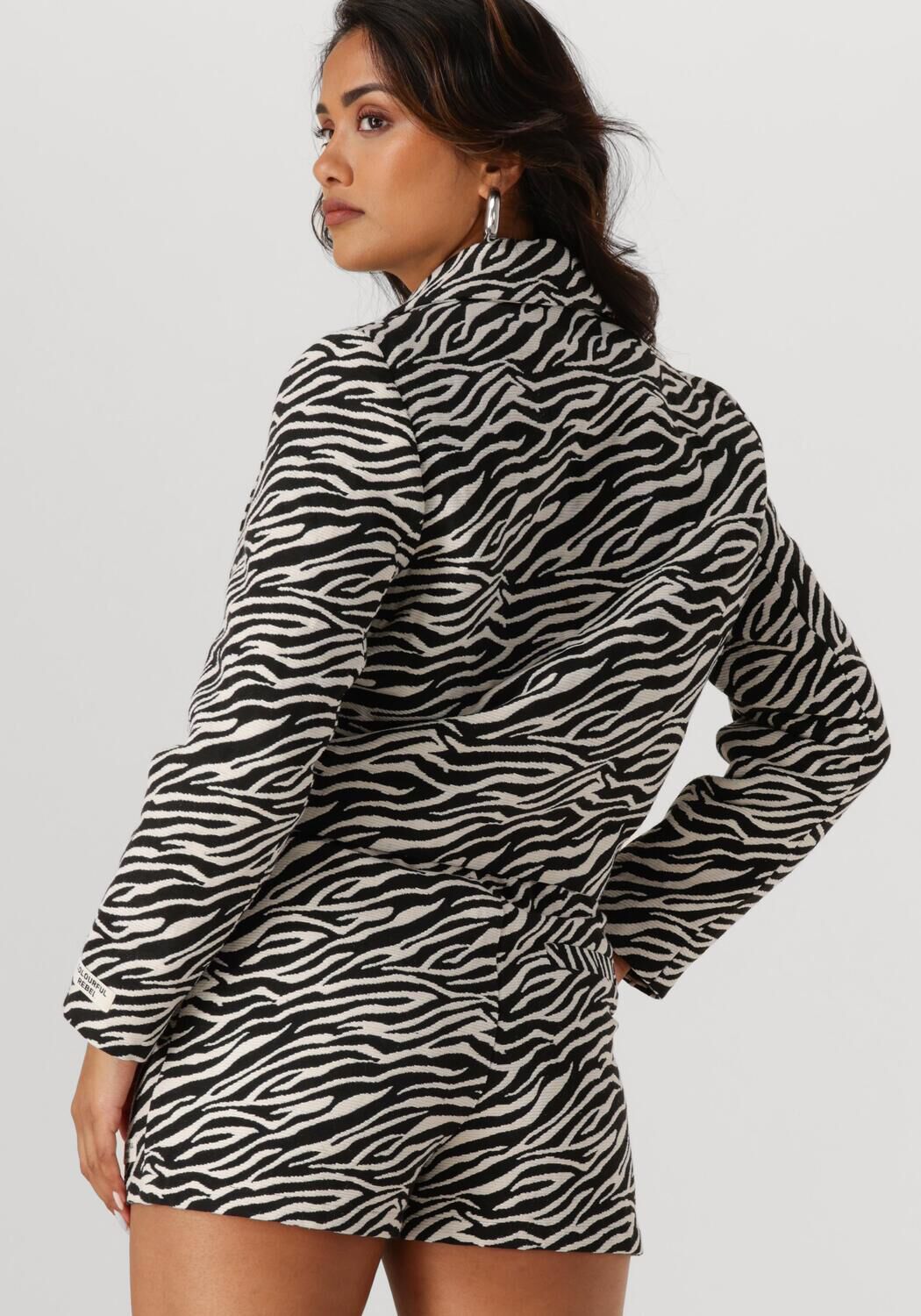 COLOURFUL REBEL Dames Blazers Dente Zebra Jacquard Blazer Grijs