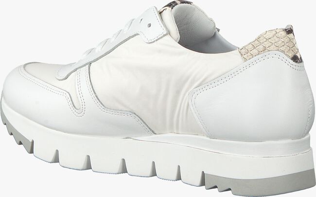 Witte NOTRE-V Lage sneakers AG251 - large