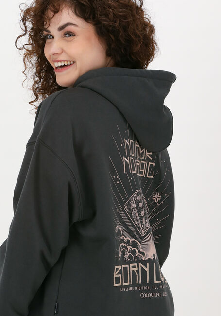 Grijze COLOURFUL REBEL Sweater BORN LUCKY EMBRO OVERSIZED HOO - large