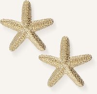 Goudkleurig NOTRE-V Oorbellen EARRING SEA STAR - medium