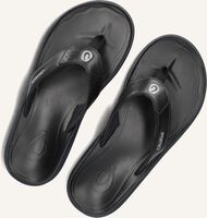 Zwarte OLUKAI Teenslippers PILI Zwarte OLUKAI Teenslippers PILI - medium