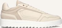 Beige NUBIKK Lage sneakers CLIFF CANE Beige NUBIKK Lage sneakers CLIFF CANE - medium