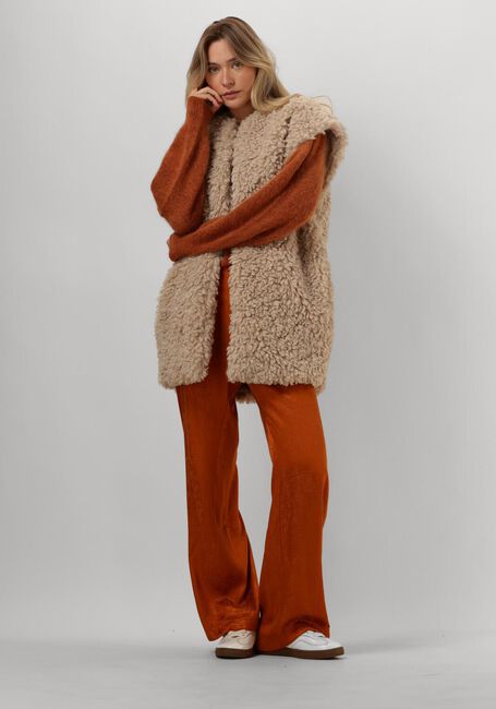 Bruine AAIKO Trui DENIZE WP 389 - large