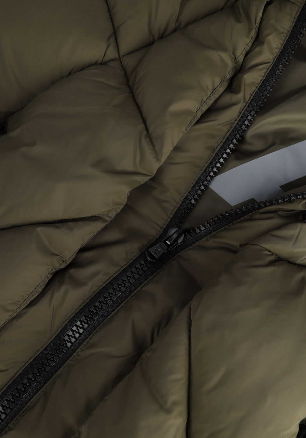 Olijf CANADIAN Gewatteerde jas EUGENIE SHORT RECYCLED - large