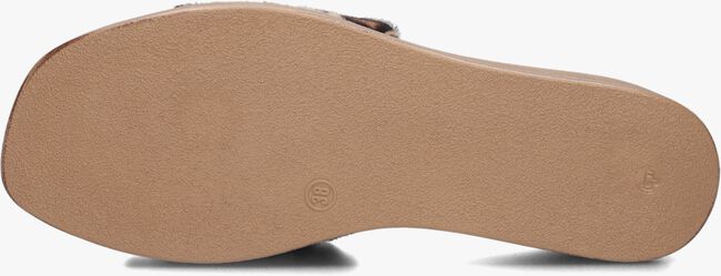 Bruine NOTRE-V Slippers 816013 - large