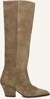 TORAL DAKOTA - medium