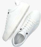 Witte VAN LIER Lage sneakers 2417410 - medium