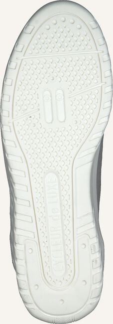 Grijze CYCLEUR DE LUXE Lage sneakers URBINO Grijze CYCLEUR DE LUXE Lage sneakers URBINO - large