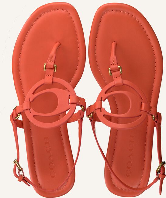 Oranje COACH Sandalen JERI LEATHER SANDAL Oranje COACH Sandalen JERI LEATHER SANDAL - large