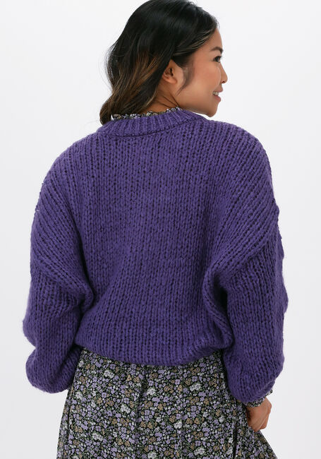 Paarse COLOURFUL REBEL Trui OLIVIA CREW NECK SWEATER - large