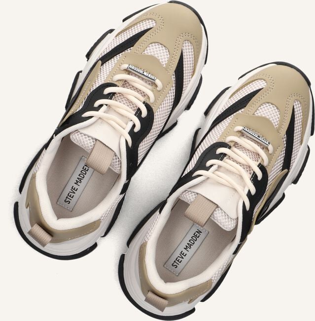 Beige STEVE MADDEN Lage sneakers POSSESSION Beige STEVE MADDEN Lage sneakers POSSESSION - large