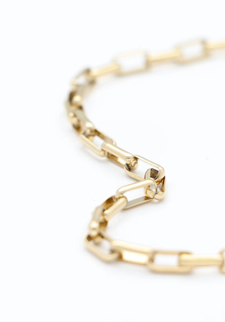 Goudkleurig NOTRE-V Kettingen NECKLACE CHAIN - large