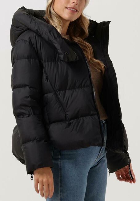 Zwarte BEAUMONT Gewatteerde jas PUFFER COAT - large