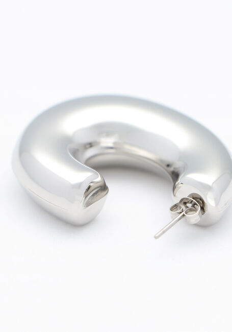 Zilverkleurig NOTRE-V Oorbellen EARRING BIG - large