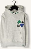 Lichtgrijze Z8 Truien/vesten JONAS Lichtgrijze Z8 Truien/vesten JONAS - medium