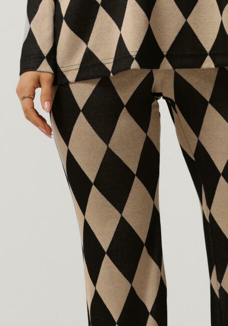 Bruine ANA ALCAZAR Pantalon TROUSERS - large