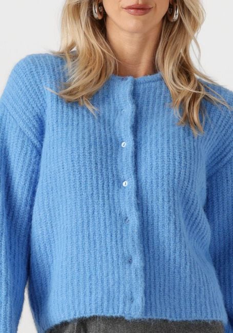 Blauwe EDITED Vest ILIANA - large