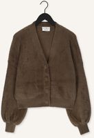 Groene CATWALK JUNKIE Vest CG ELLA Groene CATWALK JUNKIE Vest CG ELLA - medium