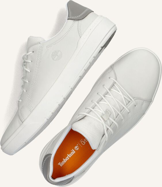 Witte TIMBERLAND Lage sneakers SENECA BAY OXFORD Witte TIMBERLAND Lage sneakers SENECA BAY OXFORD - large