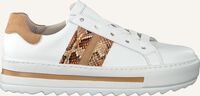 Witte GABOR Lage sneakers 495 - medium
