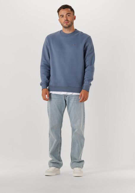 Blauwe TOMMY JEANS Sweater TJM REG S FLAG CREW EXT - large