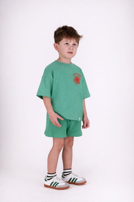 Groene THE NEW CHAPTER T-shirt T-SHIRT BO - large