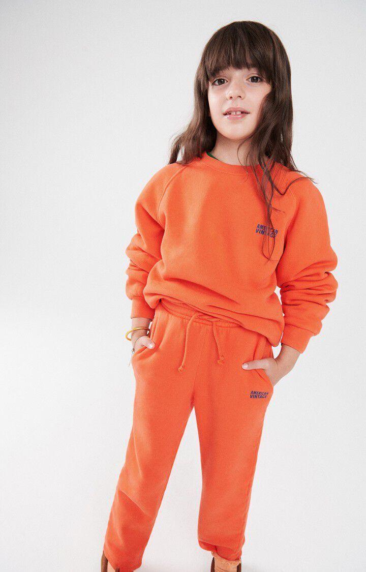 Oranje AMERICAN VINTAGE Trui IZUBIRD - large