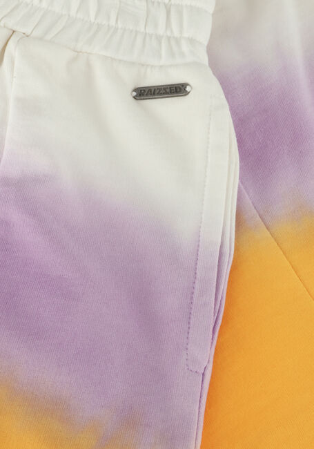 Multi RAIZZED Broeken PENNIE Multi RAIZZED Broeken PENNIE - large