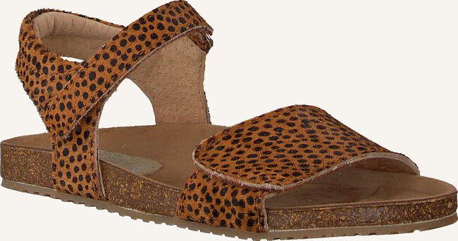 CLIC! CL-GRASS CLIC! CL-GRASS - large