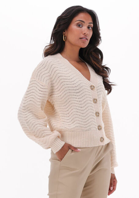 Roze Y.A.S. Vest YASBETRICIA LS KNIT CARDIGAN - large