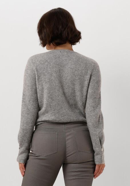 Grijze CAROLINE BISS Truien/vesten 4237 - large