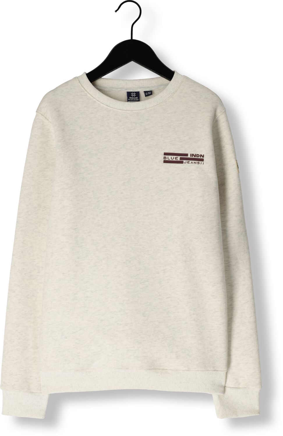 INDIAN BLUE JEANS Jongens Truien & Vesten Sweater Backprint Beige