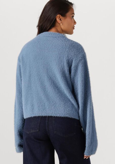 Lichtblauwe ANOTHER LABEL Trui AMAYA KNITTED PULL L/S - large