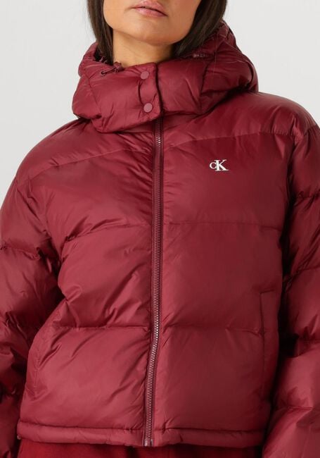 Bordeaux CALVIN KLEIN Gewatteerde jas ESSENTIAL MIDWEIGHT PUFFER JACKE - large