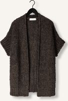 Bruine NUKUS Vest BESS CARDIGAN Bruine NUKUS Vest BESS CARDIGAN - medium