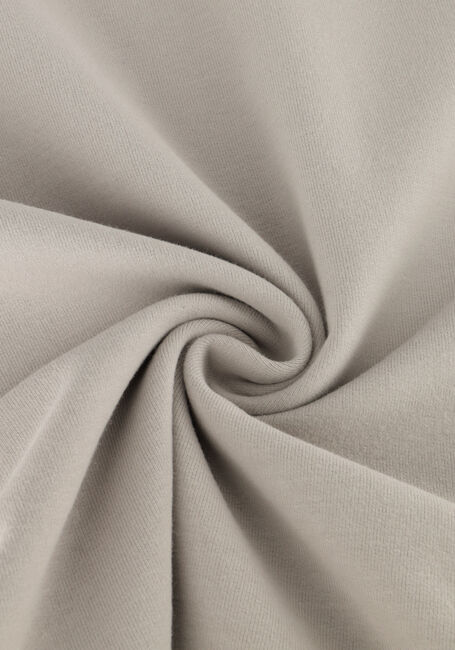 Lichtgrijze BAJE STUDIO T-shirt RORIZ - large