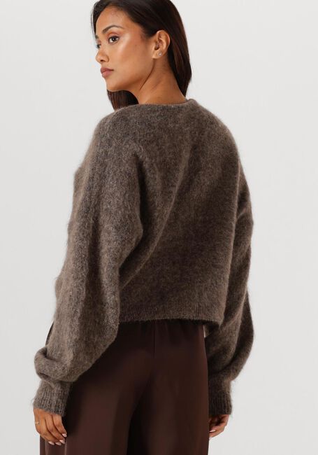 Bruine GESTUZ Vest GZDEBBIE CARDIGAN - large
